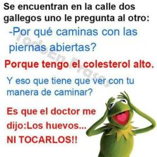 Haga click para ver la imagen ampliada los huevos ni tocarlos.jpg